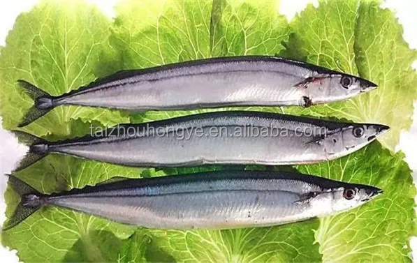 
2018 New arrive good quality Frozen Pacific Saury seafrozen fish for sale 