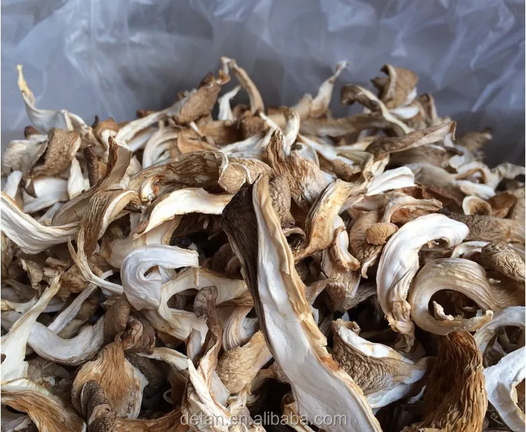 
Detan Dried Oyster/Names of Mushrooms 