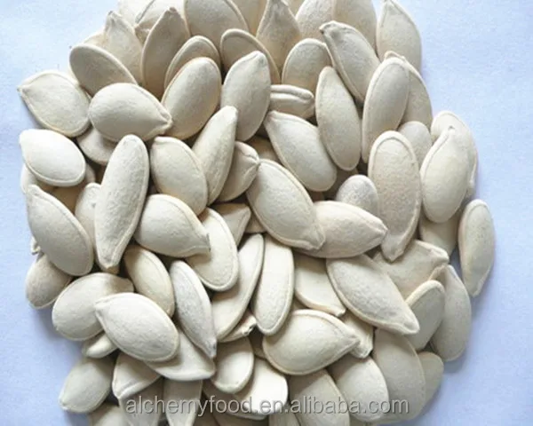 pumpkin seeds pumpkin price online