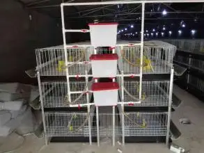 H Type 3 Tier 48 Birds Capacity Cage For Growing Broiler