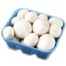 
Detan Fresh AD Champignon Mushroom Price 