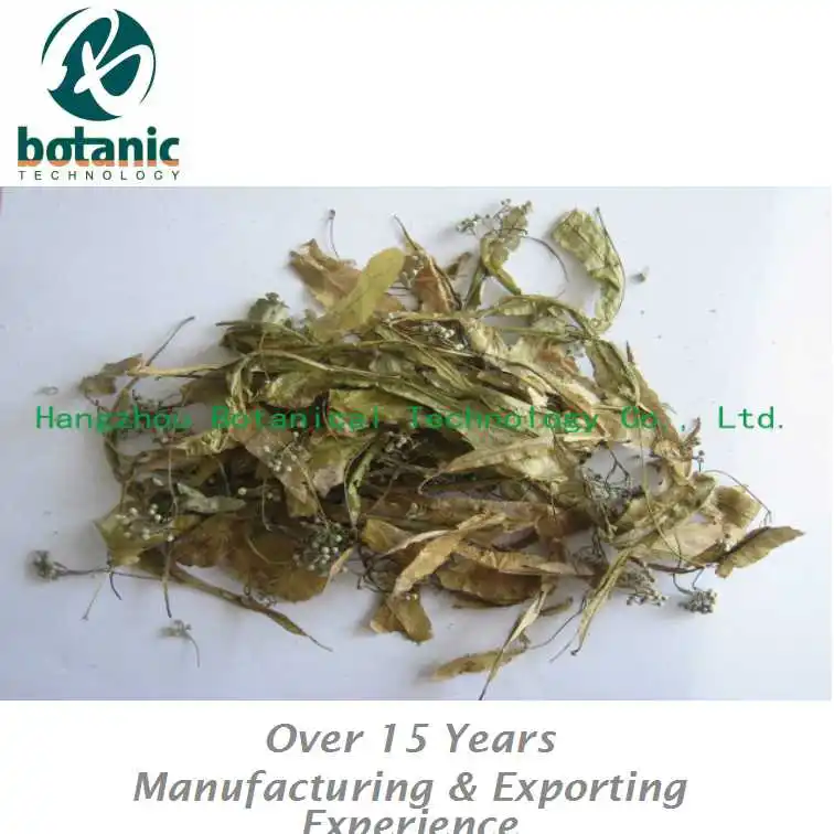 
Linden-leaf flower for herb tea material 