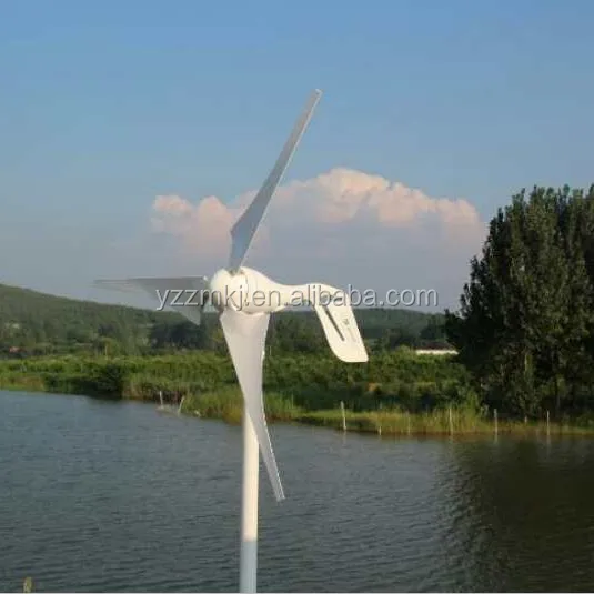 ZM050003 Hot Cakes Best Quality Wholesale 600w 12V Small Wind Generator