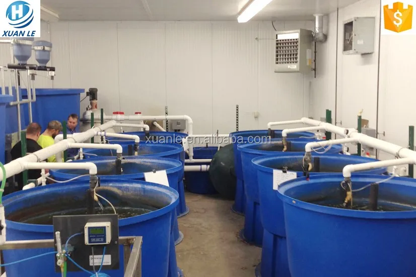 Ecofriendly extra large plastic fish tank fish farming with drain