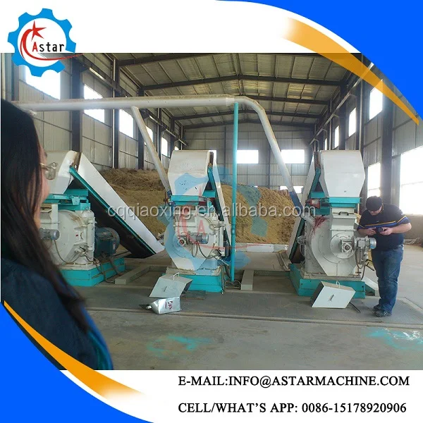 China Professional Rice Husk/Straw /Grass Pelletizer Machine Manufacturer