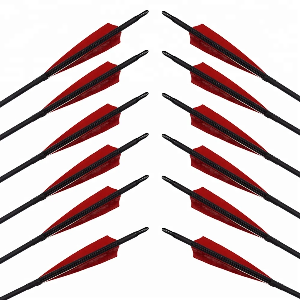 Hunting Arrows Equipment 5' Turkey Feather Target Field Point 30' Roll Fiberglass Arrow for Sale