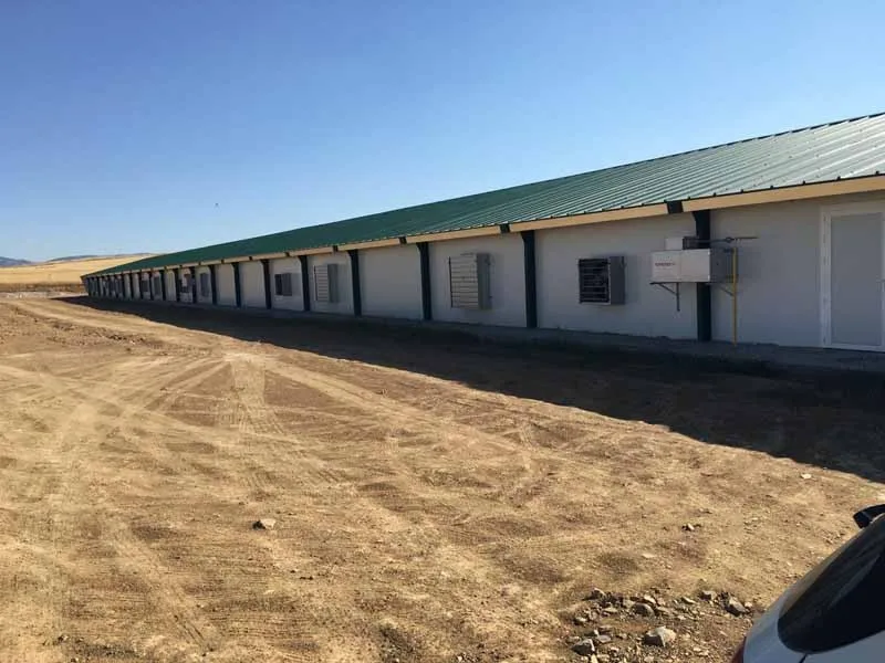 Quick Assemble Commerical Complete Controlled Poultry Shed for Chicken Farm