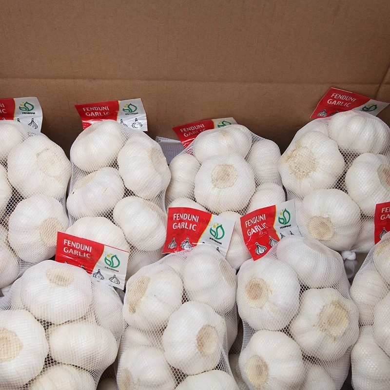 Hot Sale Fresh Pure Garlic 10kg Box with Cheap Price