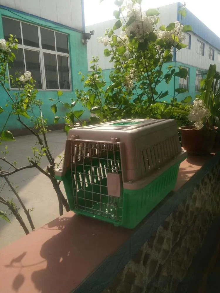 plastic pet dog carrier transporter safri