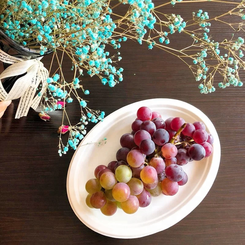 Factory Oval Disposable Sugarcane Bagasse Food Tray Biodegradable Paper Plates