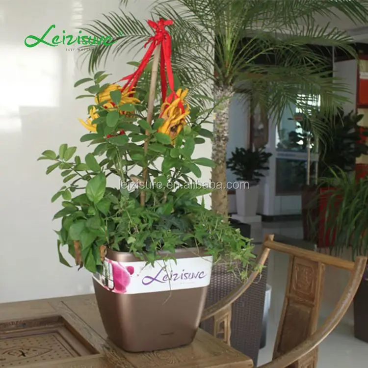 cheap glazed flower square plant pot plastic pot