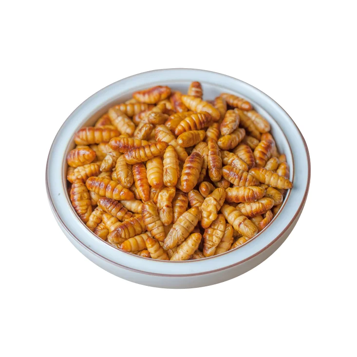 
Frozen IQF silkworm 