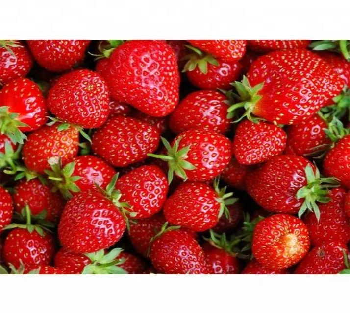 
Fresh Strawberry 