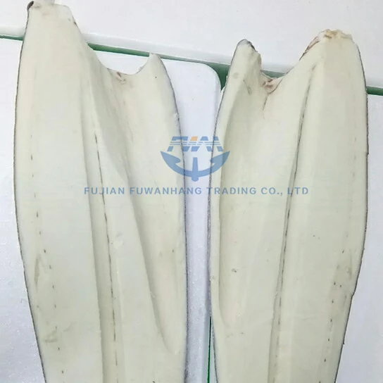 
High quality frozen oilfish fillet 