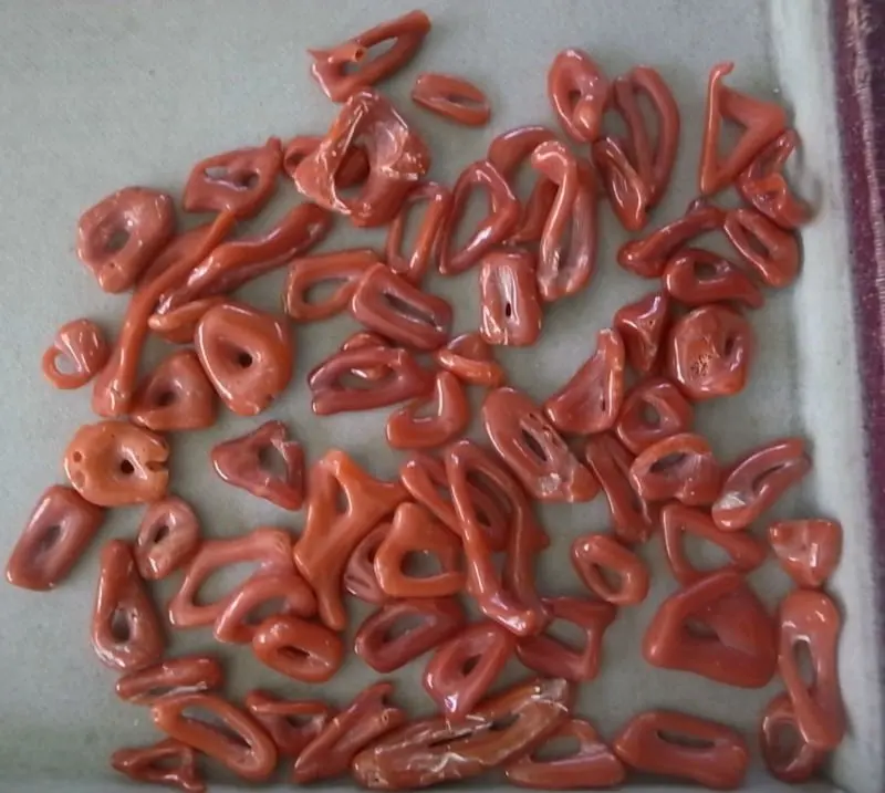 RED ITALIAN CORAL BRANCHES CLOSED LOOPS