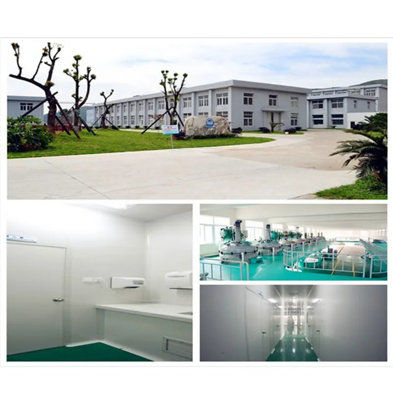 
Food Grade Glucono-Delta-Lactone Raw Material Gluconolactone GDL with Free Sample 