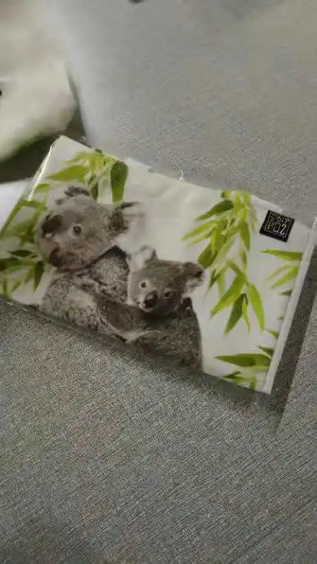 
China Supply Customization Colorful Promotional Canvas Bag with buyer pattern low MOQ 