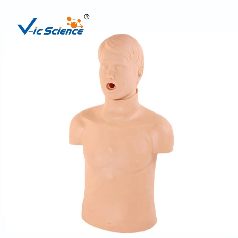 Модель обструкции тела для взрослых, манекен для тренировки, наружная компрессия груди