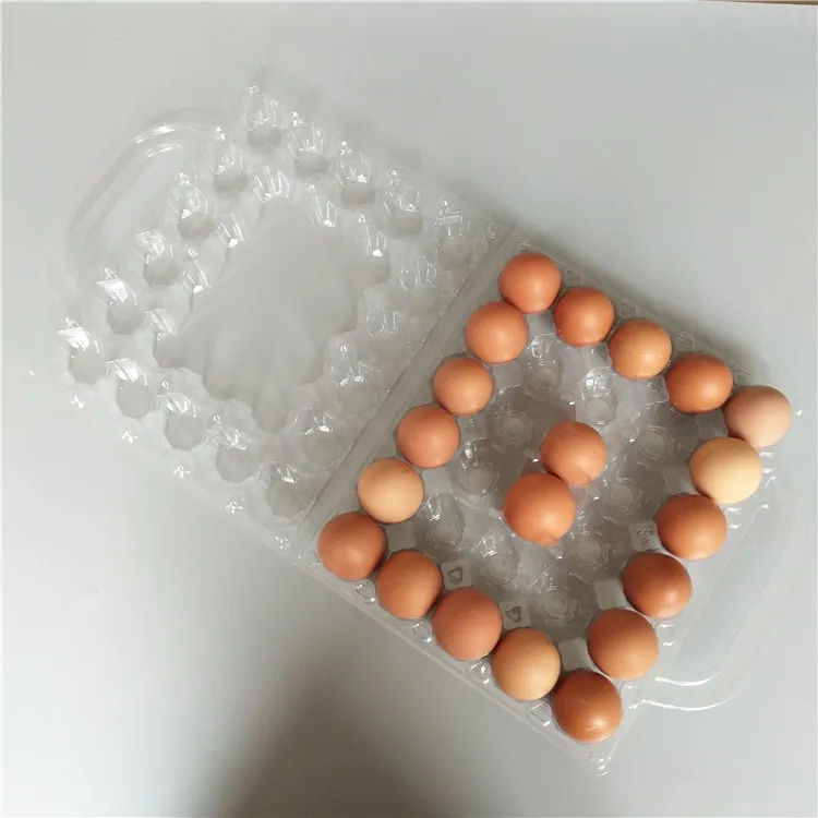 Clamshell packaging chicken crates reusable egg carton