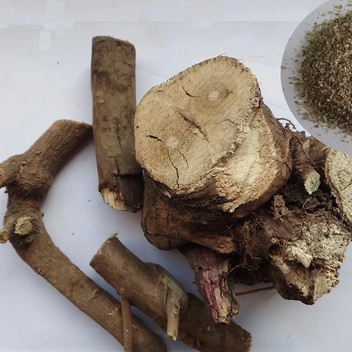 
Light yellow Acanthopanax Root for health tea Eleutherococcus root 