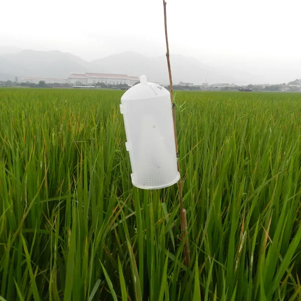 High efficient Cnaphalocrocis medinalis pheromone lure to attract rice leaf roller for rice plant protect