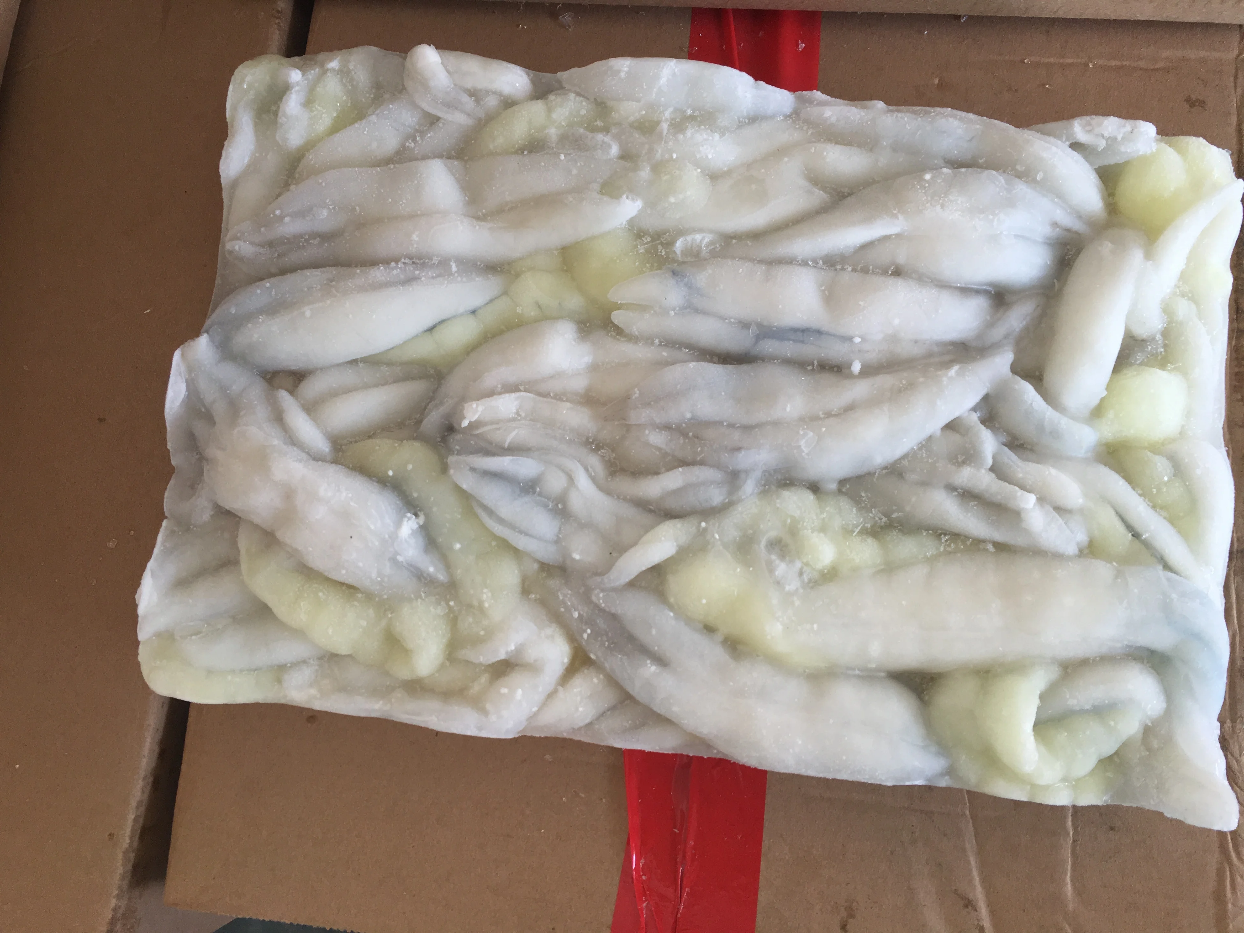 
Frozen Illex Squid Roe/Egg High Quality 