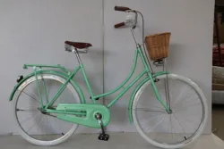 New Style 28 inch single speed pink women vintage style bike/Holland city bicycle/ with light,carrier and basket