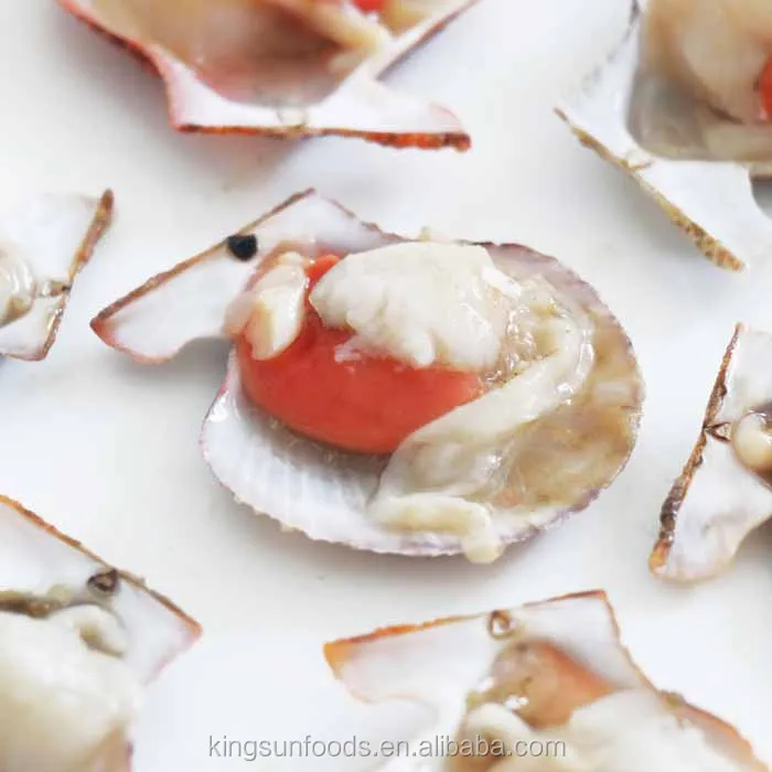 Half Shell Frozen Farreri Scallop