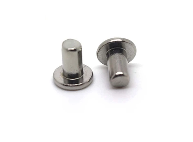 Stainless Steel Aluminum Copper 2mm 2.5mm 3mm 6mm Flat Head Solid Rivet with Factory Price