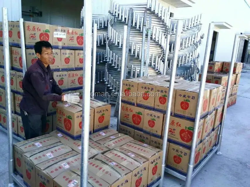 Холодное хранение яблок в Узбекистане