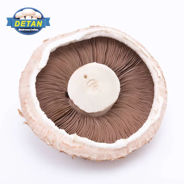 Оптовая продажа, свежие грибы портобелла Detan, цены