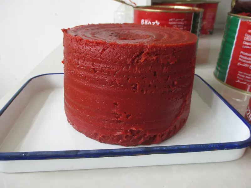 tin tomato paste brix28-30% for turkey from Xinjiang factory