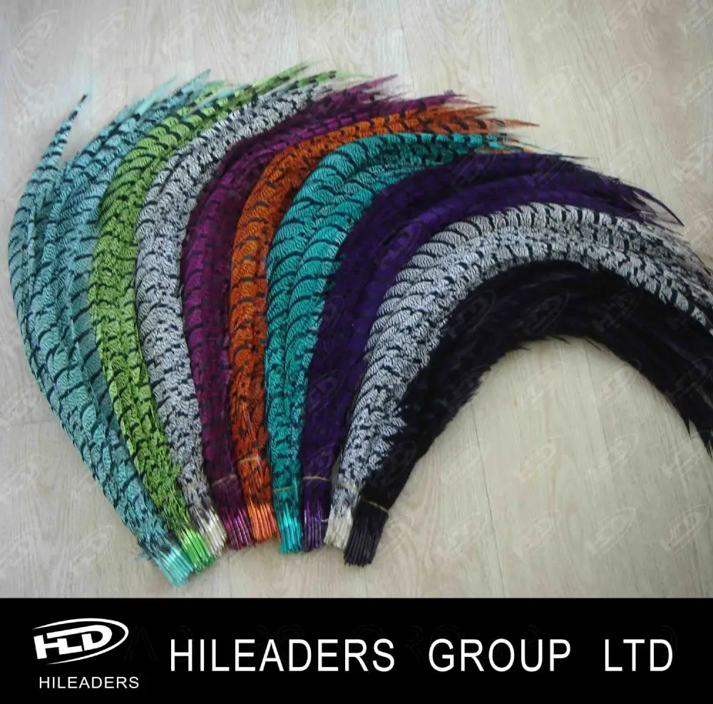 Lady Amherst Pheasant Feather Center Tail Feather