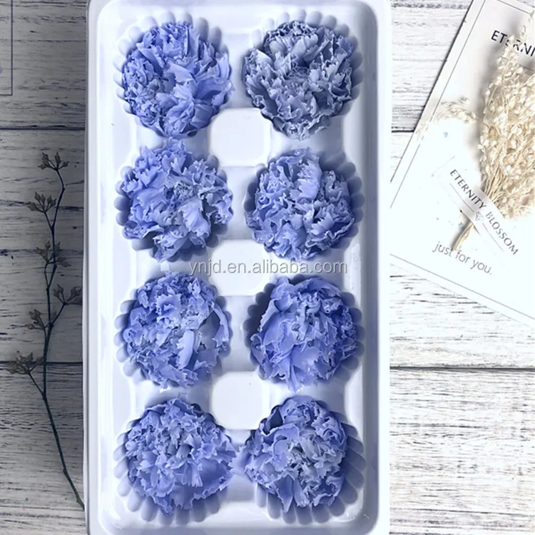 cheap price best quality China 4-5cm preserved carnation flower nice lower