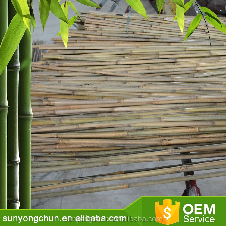Large indonesia philippines sale panel Decorative natural roll up fencing agricultural stake diameter dry bamboo poles