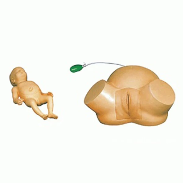 BIX-F52 Medical Science Nursing Training Made In China Pregnant Women And Childbirth Model