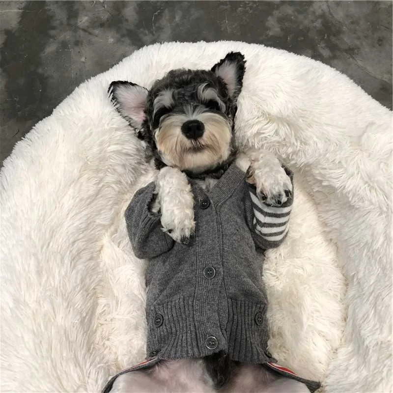 OEN/ODM, новинка весны и осени 2019, одежда для домашних животных, свитер для борьбы с Тедди, вязаный кардиган для маленькой собаки, кошки