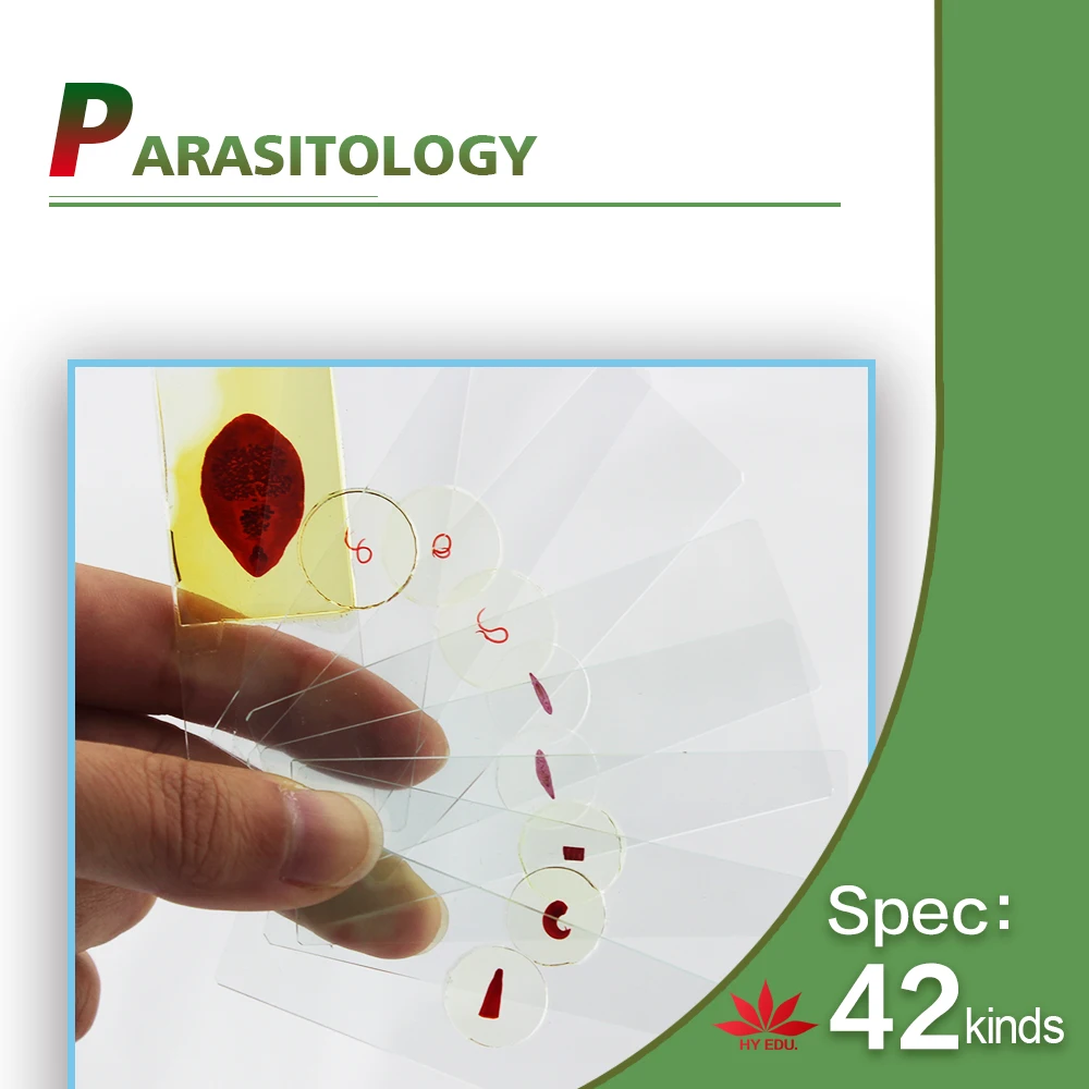 Fixed set University students study 78pieces medical parasite prepared microscope slides