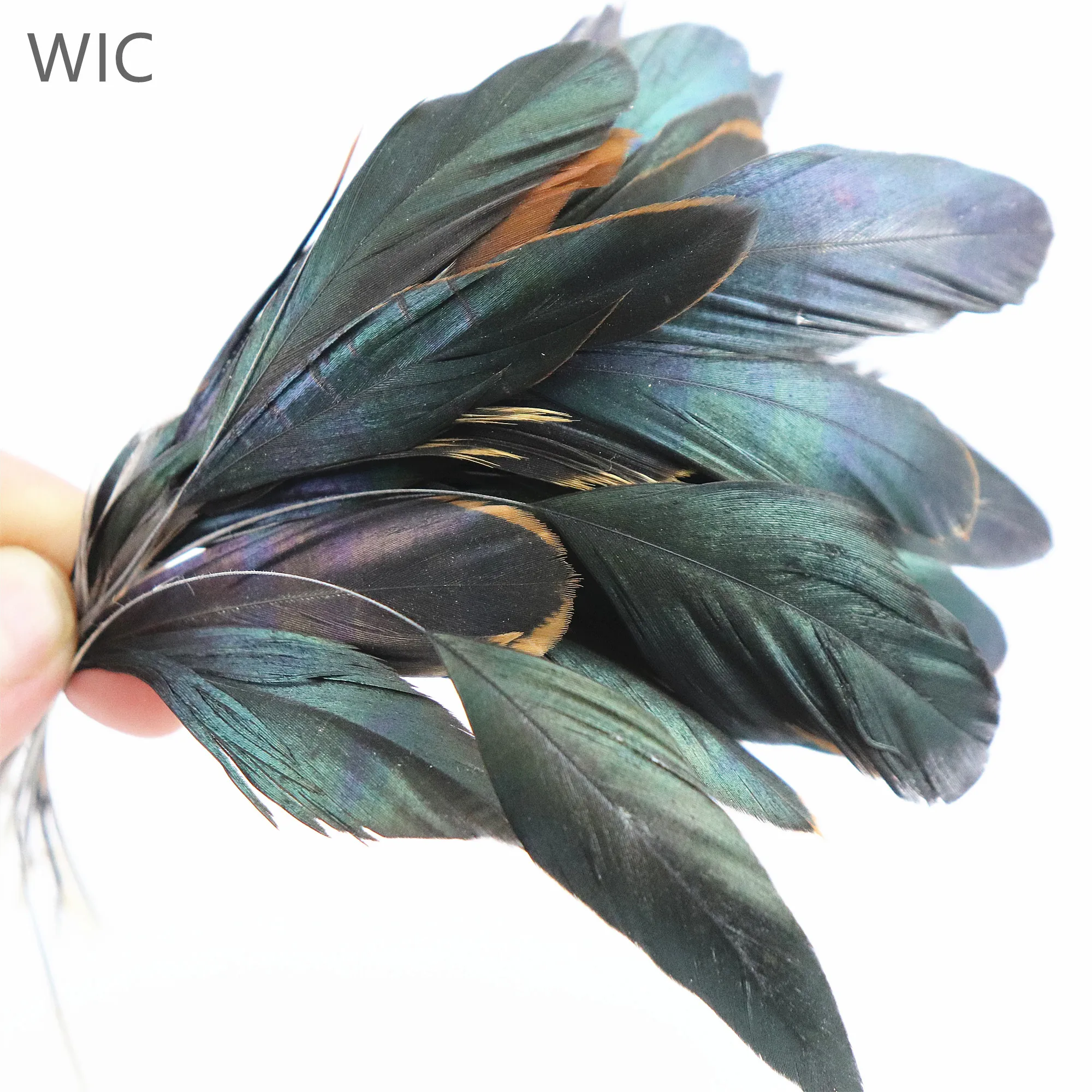 6-8 Inch Bulk Chicken Feathers Millinery Feathers for Sale