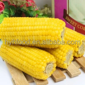 
Sweet Corn cob China product 