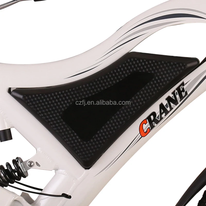 Modern Electric Bike Designed Exclusively BY Our Company