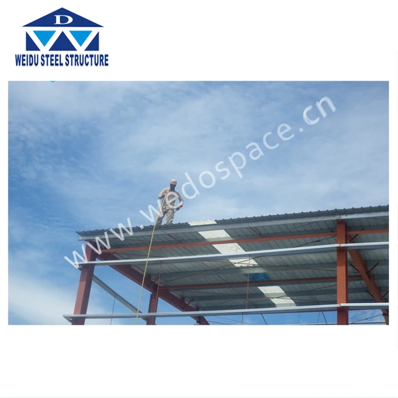 large span steel structure prefabricated warehouse For Agricultural House Cow Goat