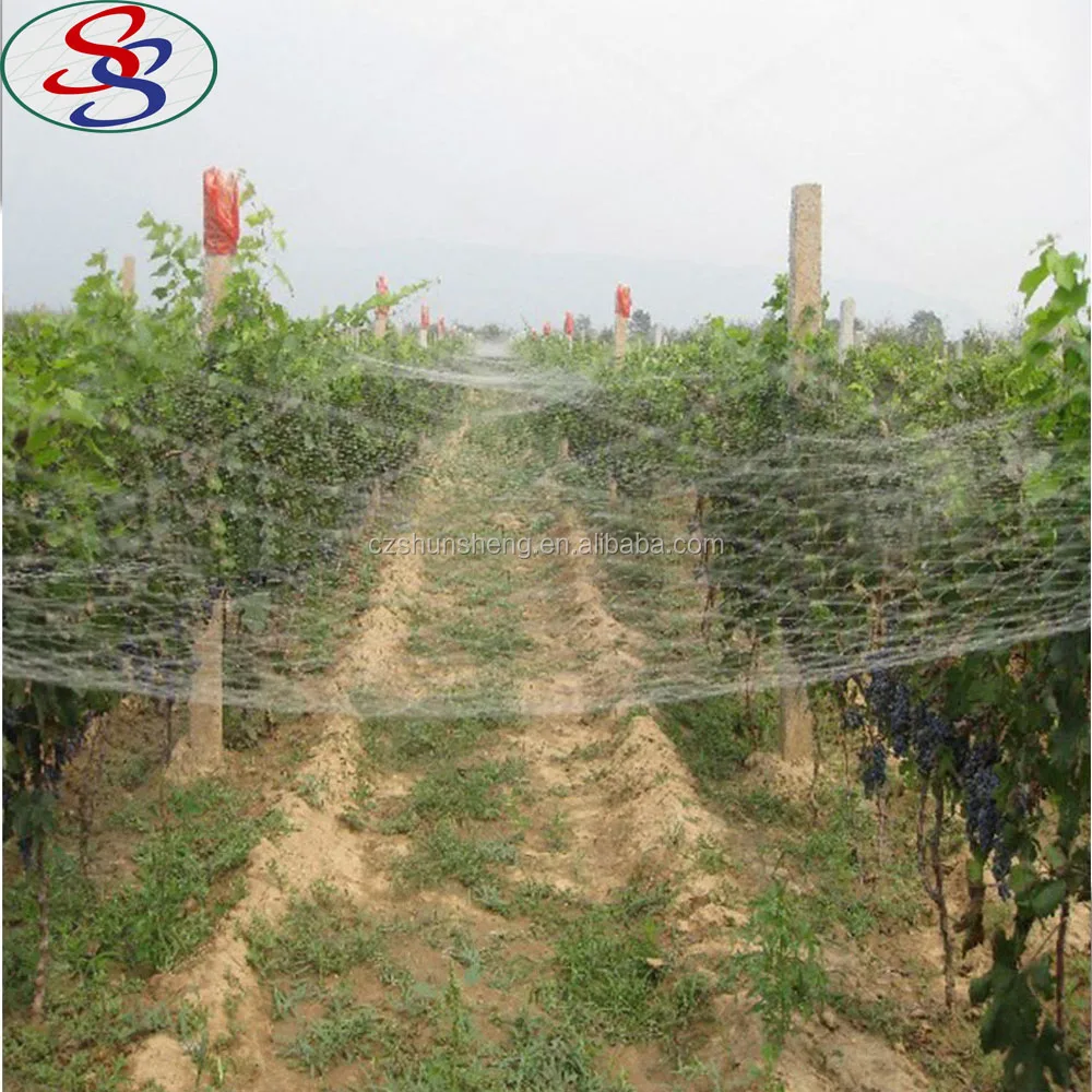 rhinestopne plastic mesh anti bird mist netting