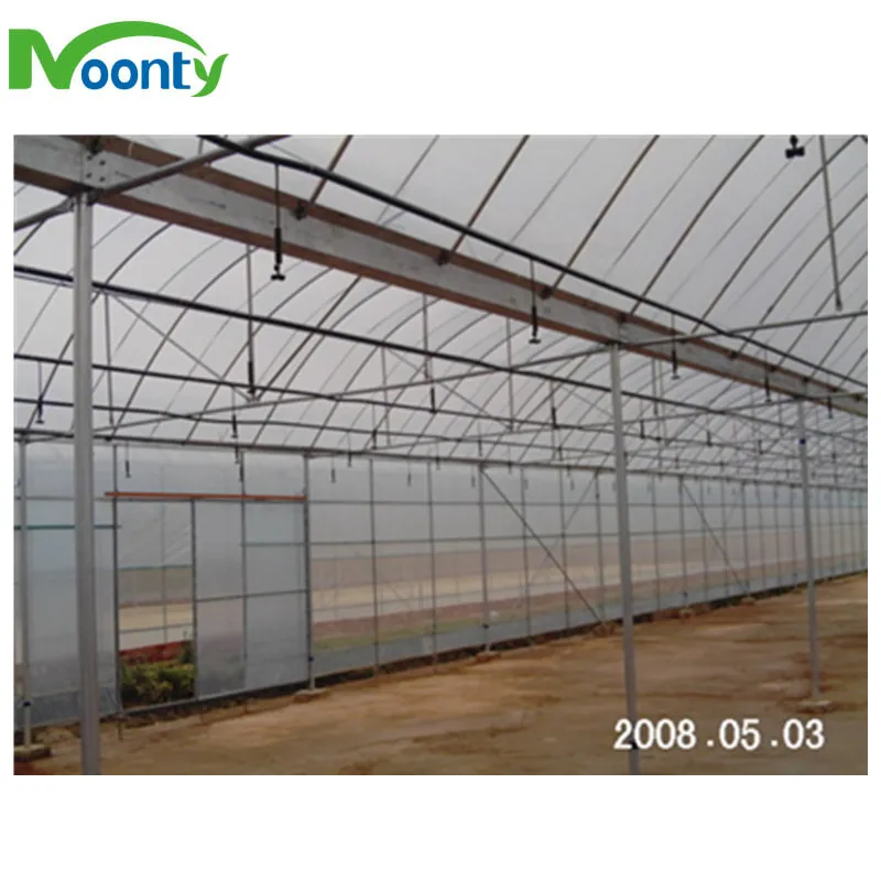 Plastic Film Greenhouse for Hydroponics Lettuce/Cucumber/Tomato/Cherry/Strawberry Growing