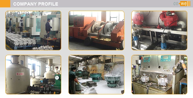 _04 Company Profile.jpg