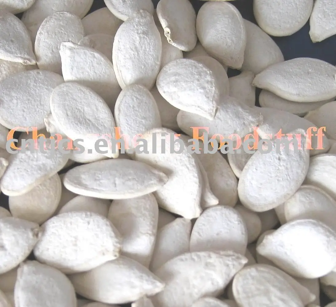 
chinese snow white pumpkin seeds ( squash seeds) 
