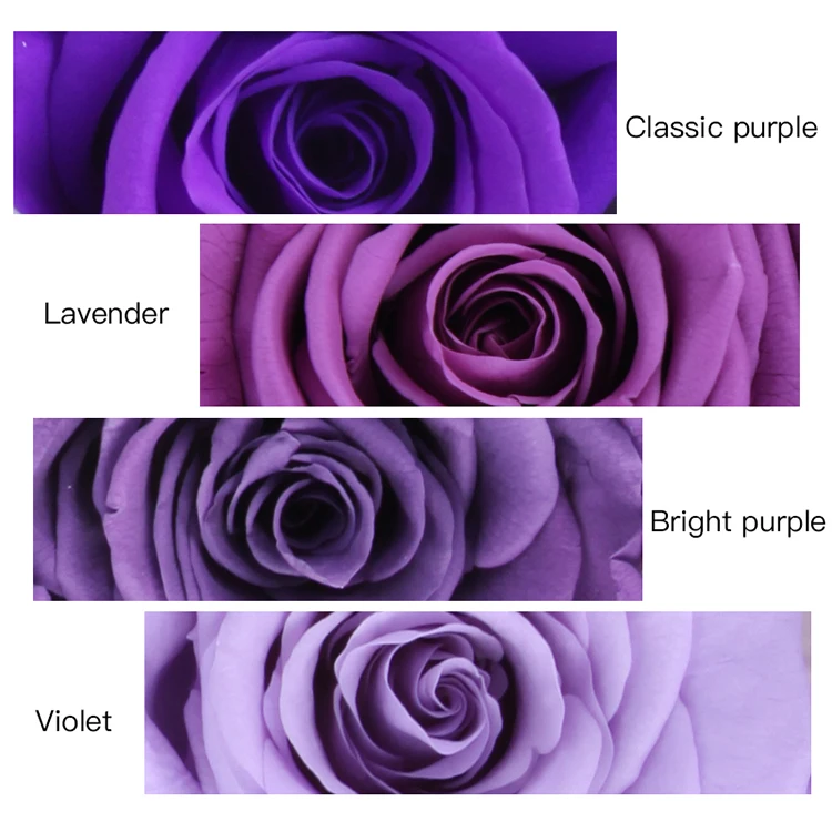 
Best Quality Real Eternal Forever Preserved Rose Head For Festival Decoration 