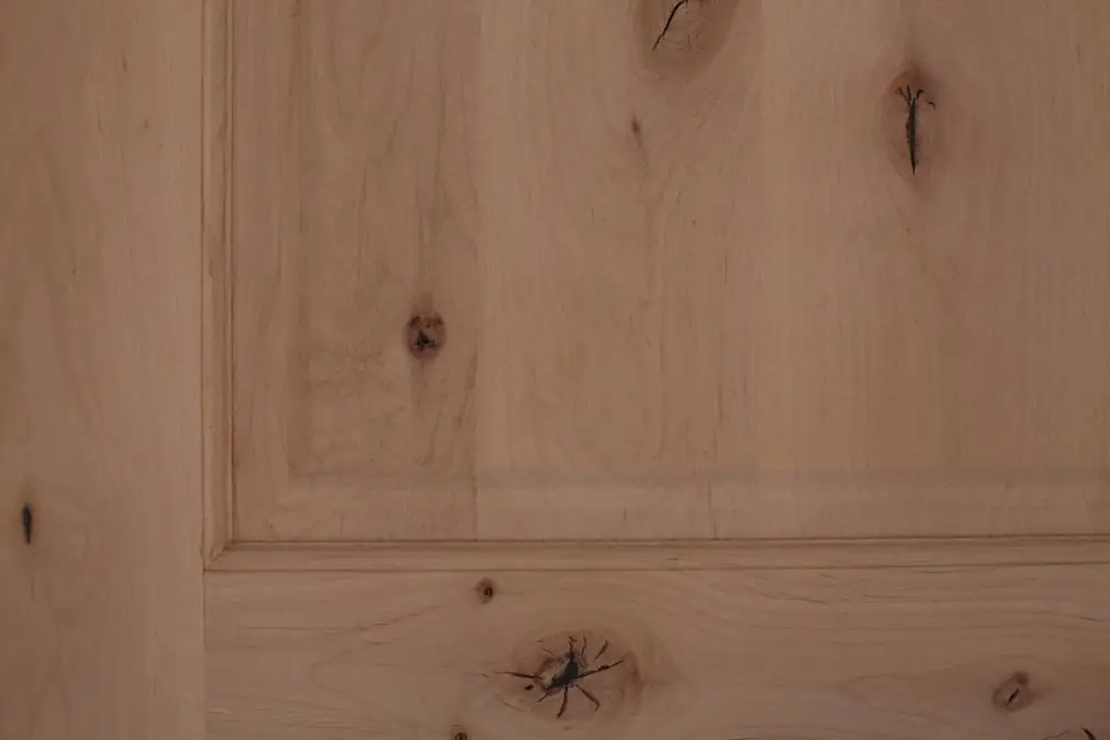 Commercial Interior Pine Solid Wooden Door for apartment