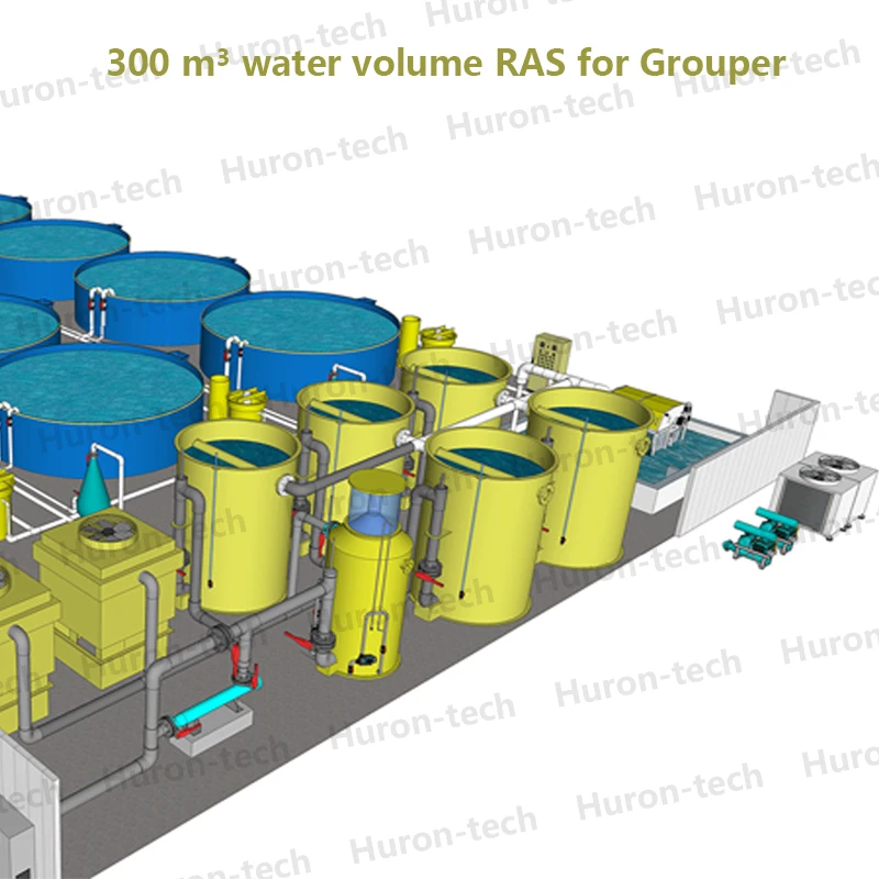 RAS System Recirculting Aquaculture equipment Protein Skimmer for King grouper, indoor fish farming machine for sale
