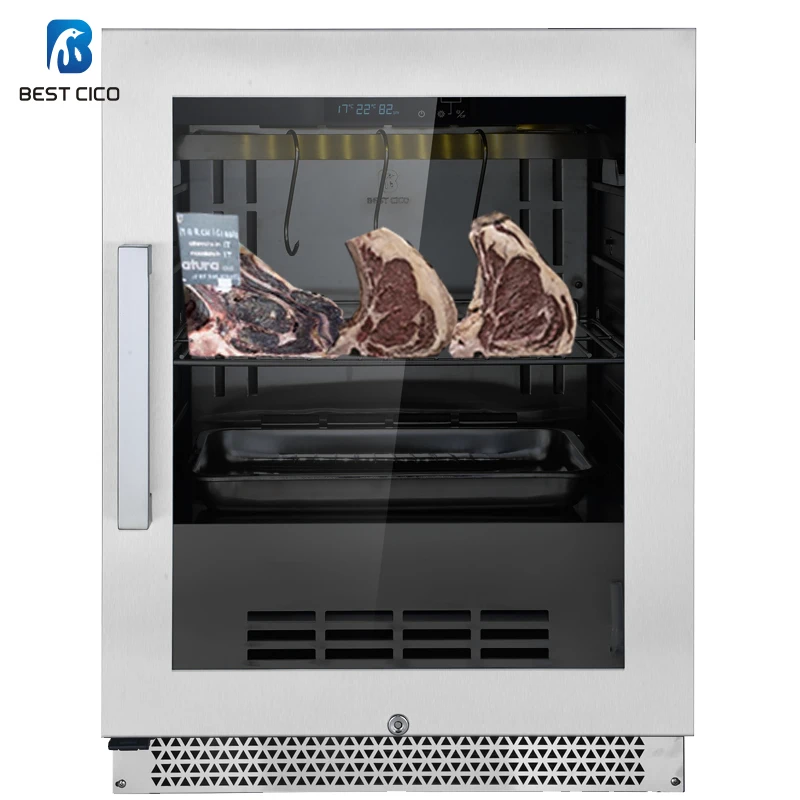 DA-127A Professional Dry Aging Mature Cabinet Meat Dryer for Making Beef Salami or Hams Machine China Ice Cream Ce R600a 127L